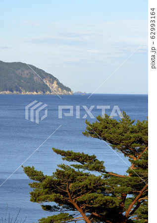 赤松と海 赤松と海 62993164