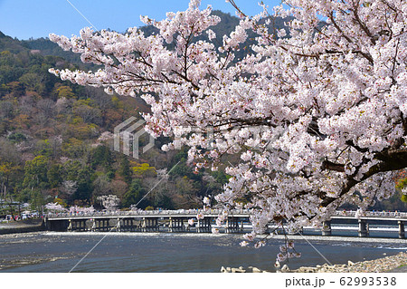 桜景 京都 嵐山 桜景 京都 嵐山 62993538