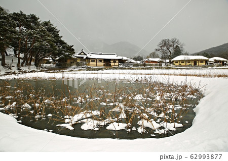 民俗村 村 近所 62993877