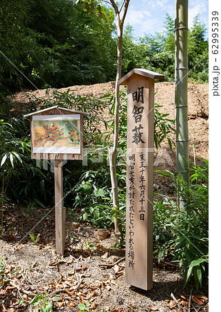 明智藪 -明智光秀が討たれたといわれる場所- 明智藪 -明智光秀が討たれたといわれる場所- 62995339