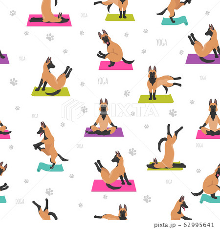Yoga dogs poses and exercises poster design. 62995641