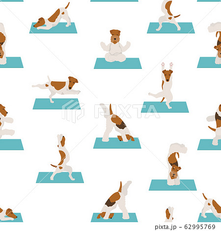Yoga dogs poses and exercises poster design. 62995769