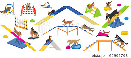 Dog playground equipment set. Colour flat playingのイラスト素材