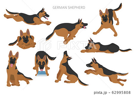 German Shepherd Dogs In Different Poses Shepherd Stock Illustration