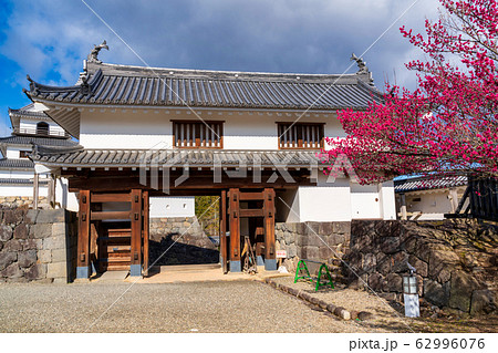 白石城と梅の花 宮城県白石市 白石城と梅の花 宮城県白石市 62996076