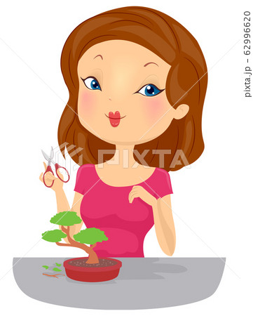 Girl Cut Bonsai 62996620