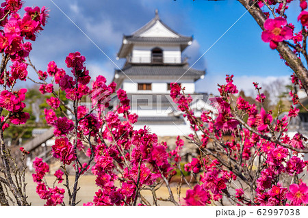 白石城と梅の花　宮城県白石市 62997038