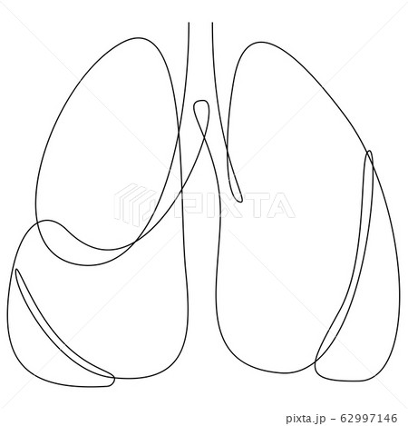 Anatomical Pencil Art of Human Lungs Sticker for Sale by Cultofarts   Redbubble