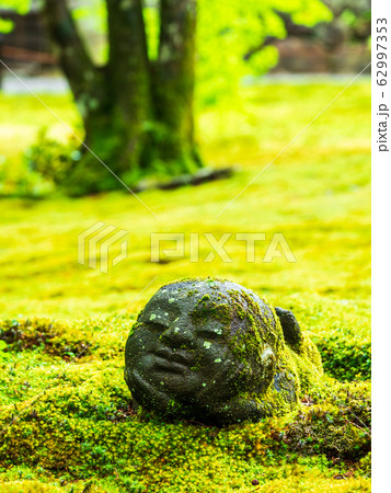 春の京都 三千院 わらべ地蔵 春の京都 三千院 わらべ地蔵 62997353
