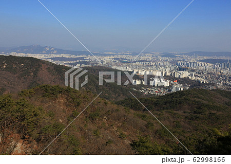 鳥 路地 キジ 62998166