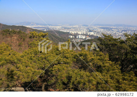 鳥 路地 キジ 62998172