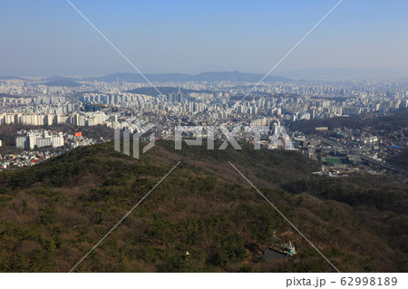 鳥 路地 キジ 62998189