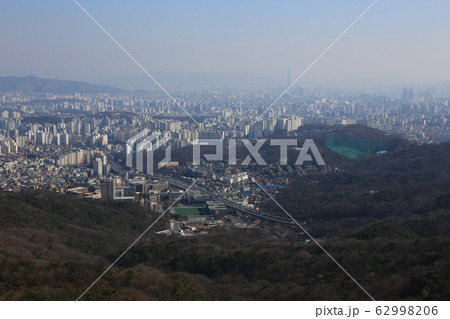 鳥 路地 キジ 62998206