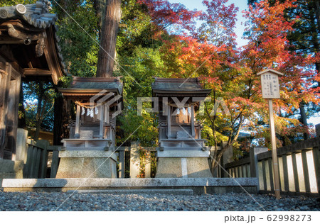 滋賀県多賀大社の末社、秋葉神社(右)愛宕神社(左)と紅葉の風景 滋賀県多賀大社の末社、秋葉神社(右)愛宕神社(左)と紅葉の風景 62998273