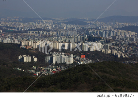 北朝鮮産 一本道 小道 62999277