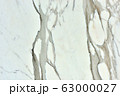 Real natural " Calacatta Borghini  " texture 63000027