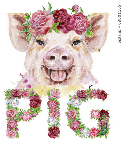 Watercolor portrait of pig with word PIG of Watercolor portrait of pig with word PIG of 63001165