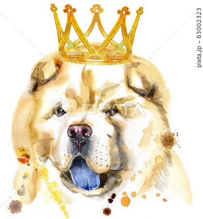 Watercolor portrait of chow-chow dog with crown Watercolor portrait of chow-chow dog with crown 63002323