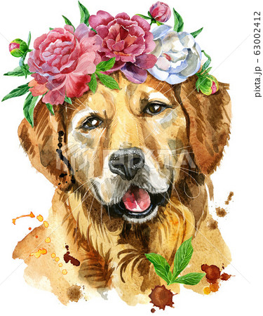 Watercolor portrait of golden retriever with Watercolor portrait of golden retriever with 63002412
