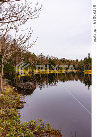 《知床国立公園》　知床五湖の自然風景　山と森と湖　二湖 63003259