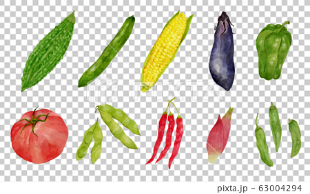 １０種類の夏野菜 水彩 イラストのイラスト素材