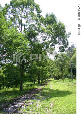 Sunny view of the Lintianshan Forestry Culture Sunny view of the Lintianshan Forestry Culture 63004521