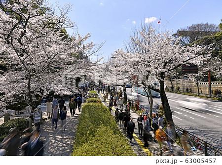 日本の東京都市景観 桜や靖国神社(大鳥居)などを望む=2019年4月3日 日本の東京都市景観 桜や靖国神社(大鳥居)などを望む=2019年4月3日 63005457