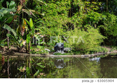 Beautiful landscape of the famous Huntington Beautiful landscape of the famous Huntington 63005904