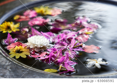 Different beautiful flowers float on the water Different beautiful flowers float on the water 63008591