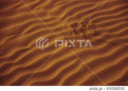 Beautiful orange sand at sunset as a background 63008592
