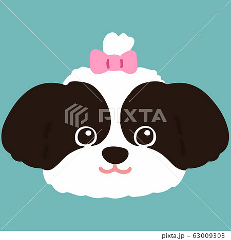 可愛いシーズーの顔 主線なしのイラスト素材