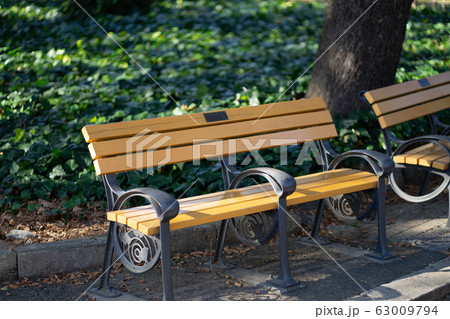 公園のベンチ<東京都千代田区日比谷公園 2020年1月> 公園のベンチ<東京都千代田区日比谷公園 2020年1月> 63009794