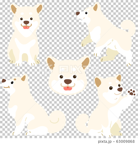 Illustration set of white Shiba Inu in various poses No outline 63009868