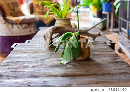 Table Setting In A Casual Outdoor Cafe 63011149