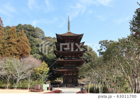 山口瑠璃光寺の梅 63011700