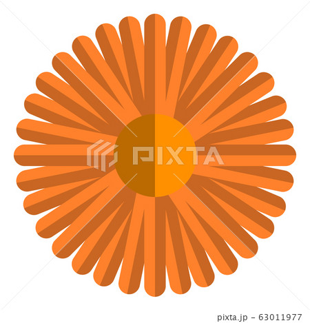 Isolated beautiful flower 63011977