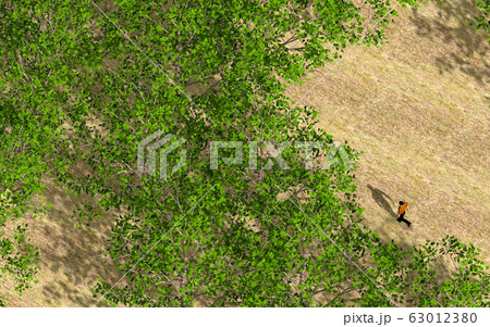 森と人物 63012380