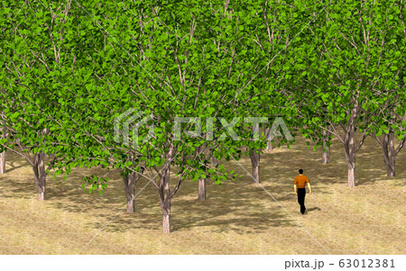 森と人物 63012381