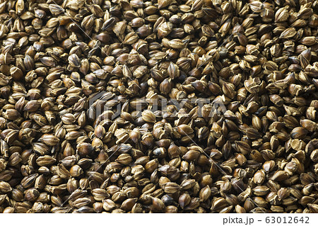 麦茶4 麦茶4 63012642