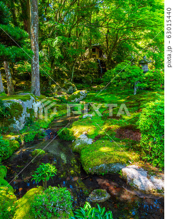 新緑の旧竹林院 新緑の旧竹林院 63015440