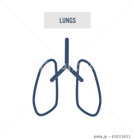 肺 アイコン イラストのイラスト素材