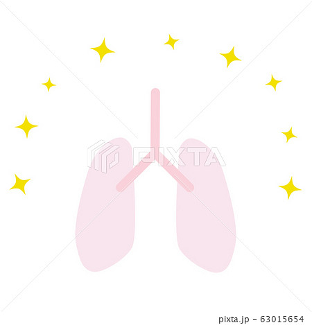 健康な肺 イラストのイラスト素材