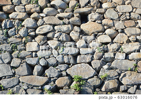 中津城の石垣（大分県中津市二ノ丁） 63016076