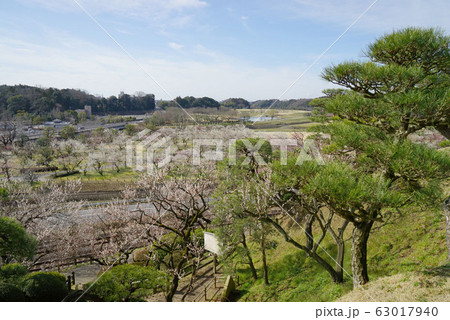 偕楽園　梅まつり 63017940