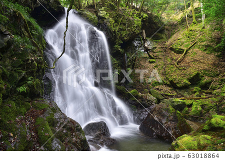 奥田縄の滝（福井県小浜市） 63018864