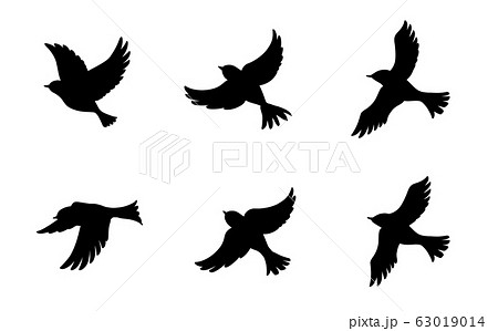 Flying Bird Silhouette Set Stock Illustration