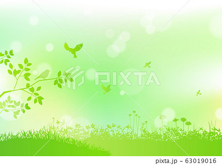 緑の野原と飛ぶ鳥 背景ボケのイラスト素材