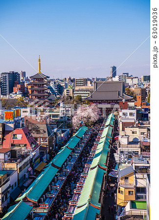 日本の東京都市景観 満開の桜・浅草寺=2019年4月3日 日本の東京都市景観 満開の桜・浅草寺=2019年4月3日 63019036