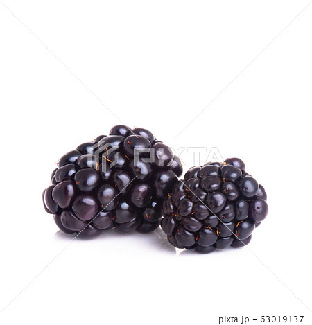 blackberry or fresh blackberry on a background 63019137