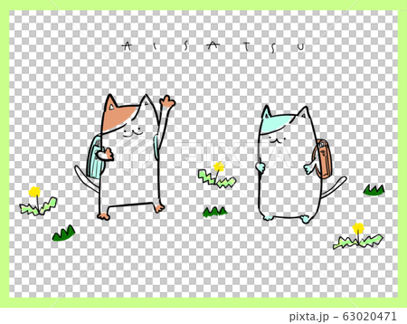 Cat greeting Cat greeting 63020471